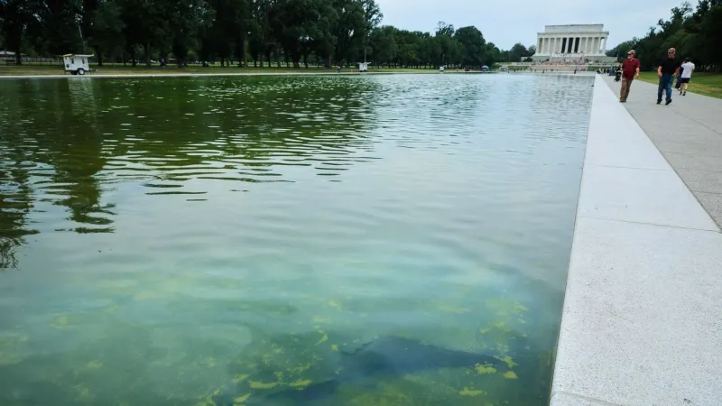 Lawmakers demand answers on 'failed' Lincoln Memorial Reflecting Pool renovations