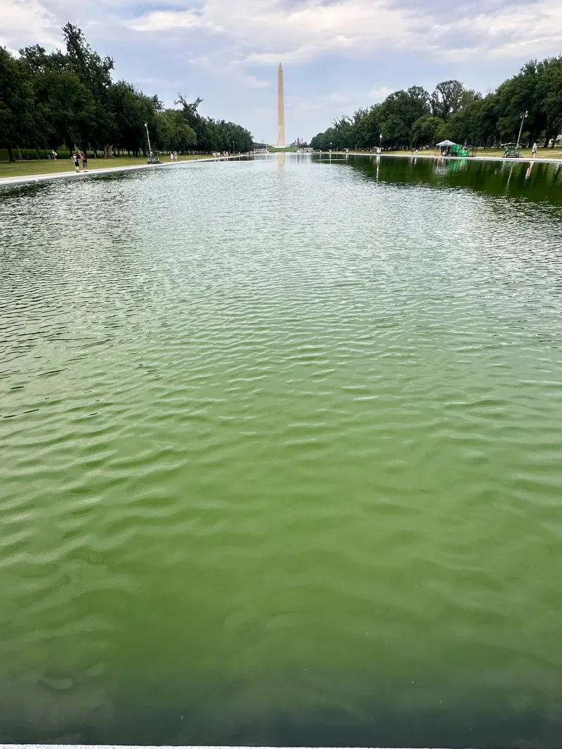 The Lincoln Memorial Reflecting Pool Is Being Drained-Again