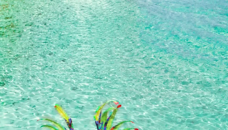 Barbados Crop Over Changed Me --- How A Carnival Costume Helped Me Embrace My Body, My Freedom, And My Roots [Op-Ed]