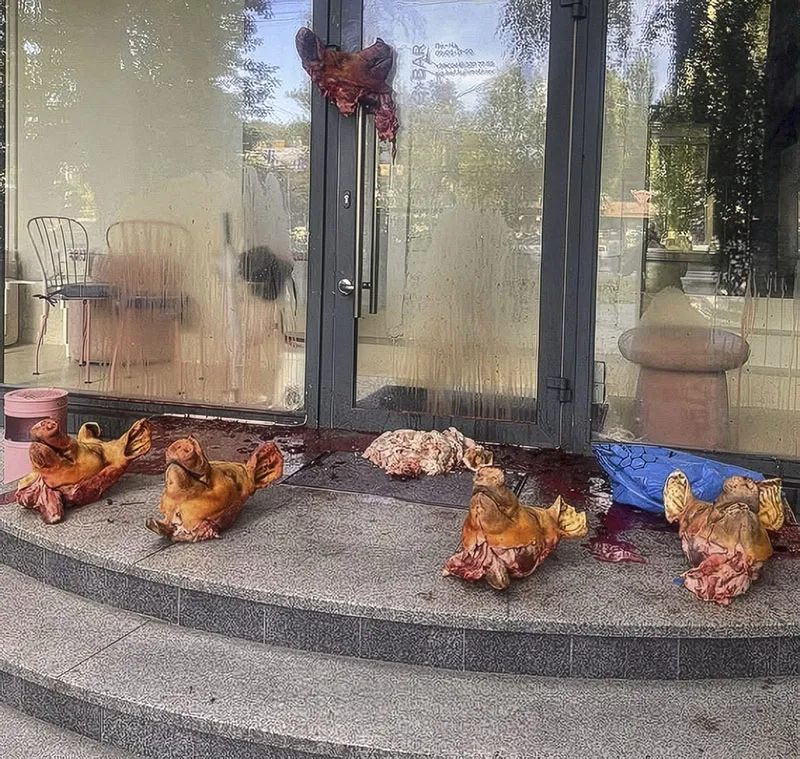 Pig Heads and Blood Left Outside LGBTQ-Friendly Kyiv Salon