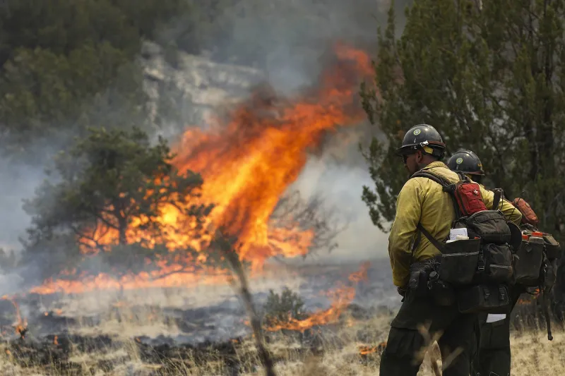 Federal union warns Forest Service reorganization could worsen wildfire response