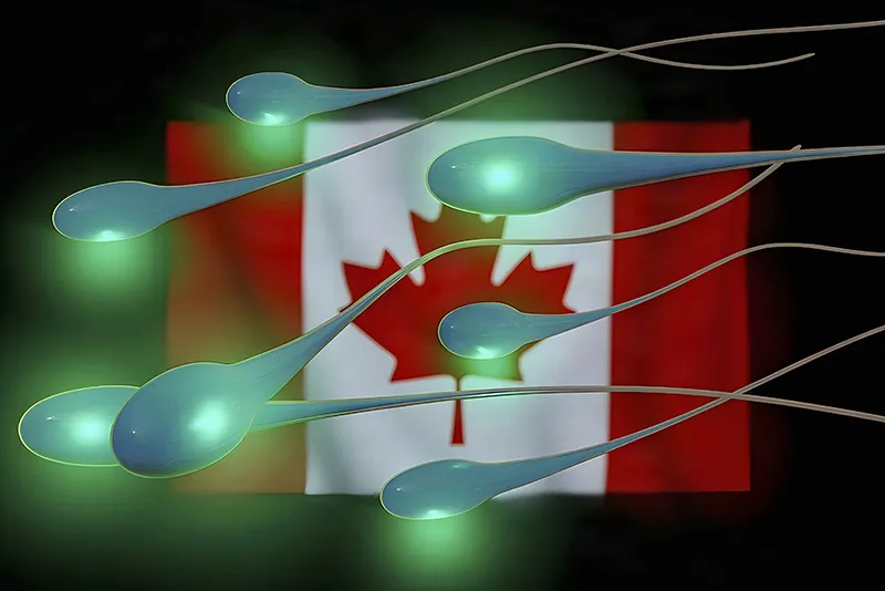 Canada to End Sperm Donation Restrictions on Gay Men