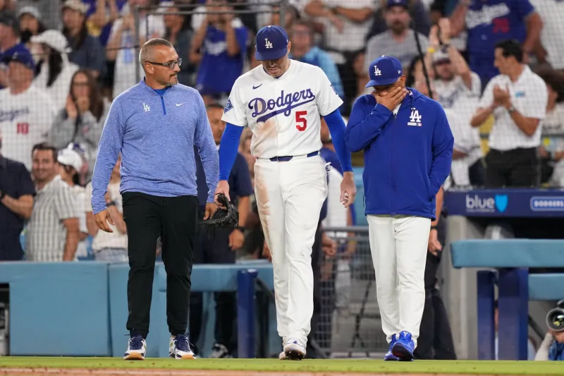 Dodgers' Freddie Freeman somehow avoids serious injury in frightening fall into visitors' dugout