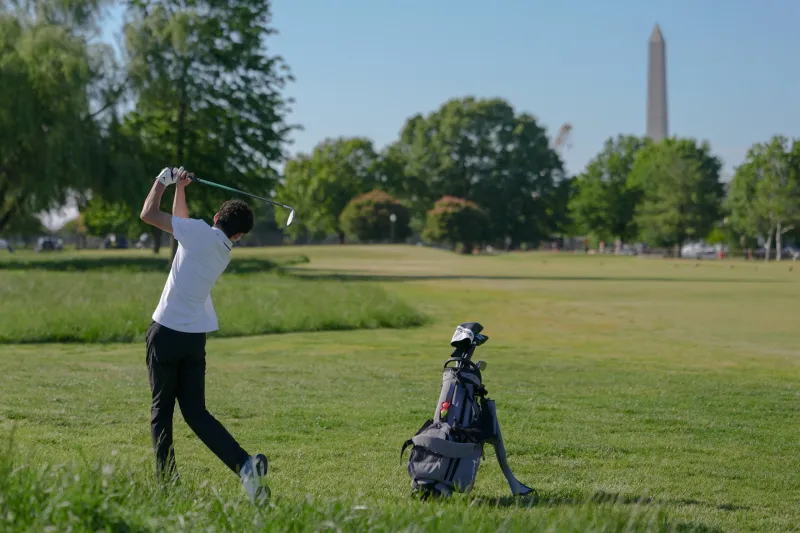 Number of trees chopped down at East Potomac Golf Course increased significantly