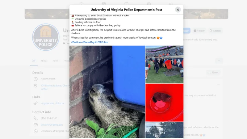Groundhog 'apprehended' outside Scott Stadium ahead of UVA game