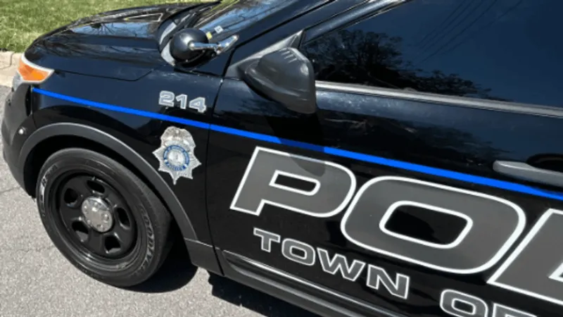 1 in custody as Herndon police search for juvenile after stolen car chase