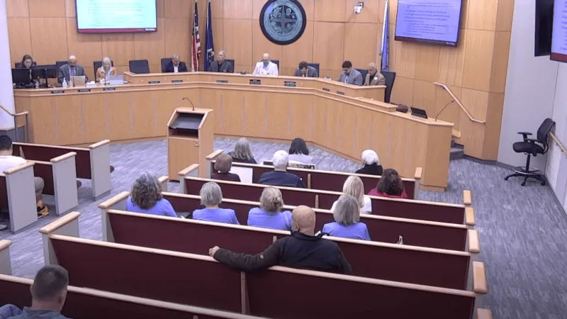 Herndon Town Manager ousted from role less than year in