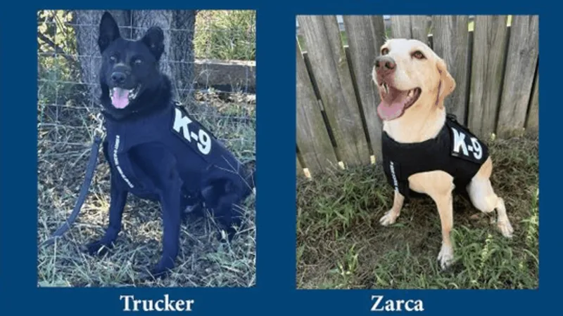 Donated body armor honors K9 Rivan while protecting 8 Virginia corrections dogs