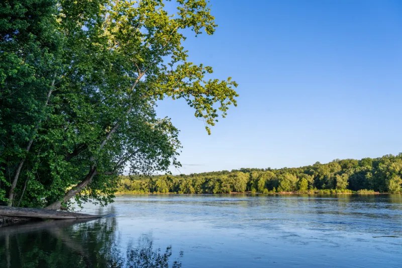 Additional testing shows Potomac River 'returned to normal' after sewage spill