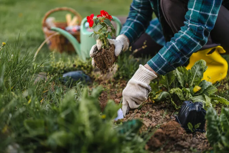 Friday Freebies: Fire department open houses and gardening workshop