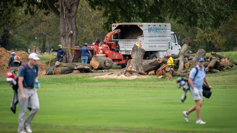 NPS could remove more than 500 trees at historic golf course Trump wants to redesign