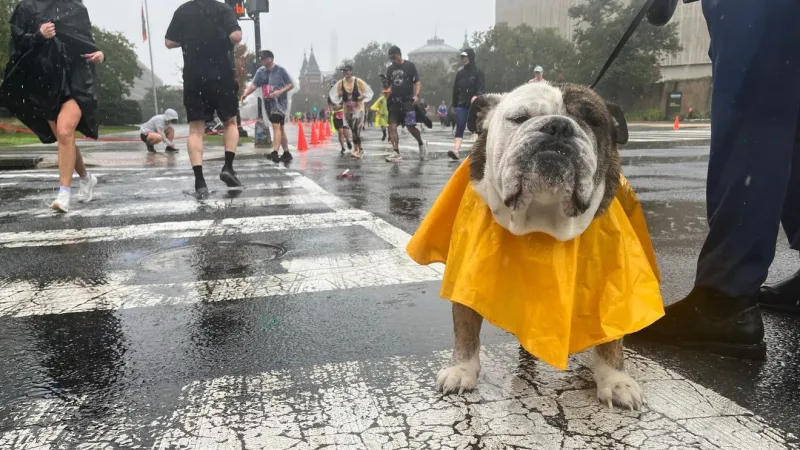 Runners push through rain, wind for Army Ten-Miler as major road closures take effect