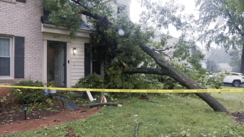 Tree limb crashes onto Potomac home near sleeping child; family escapes injury