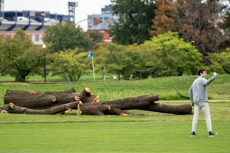 Federal judge halts additional tree cutting at East Potomac Golf Links