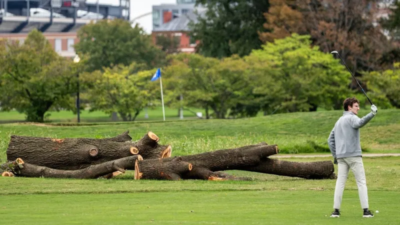 Expert discusses tree removal at East Potomac Golf Course