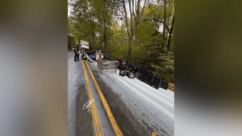 Dairy disaster: Big rig hauling milk spills cargo in Fairfax County closing road