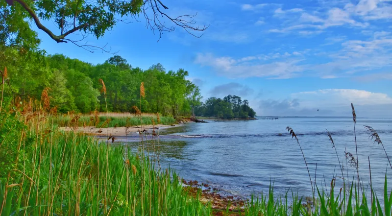 What the Chesapeake Bay's best report card to date means going forward
