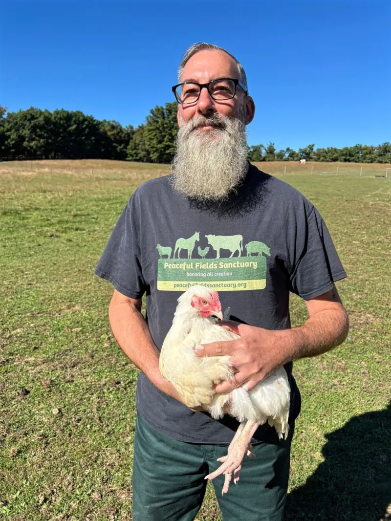 Winchester Man Saves 26 Chickens En Route to Kapparot in NYC