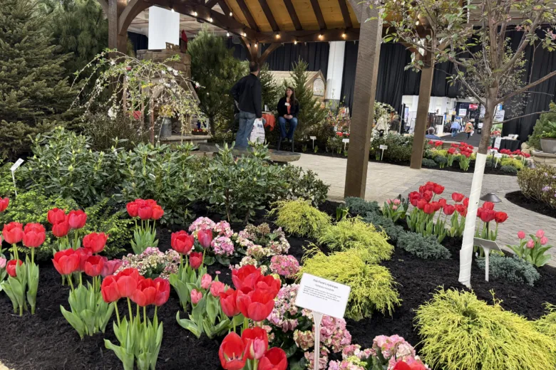 Things to do in the DC area: Garden & Craft Show, Quacktoberfest ... and more!