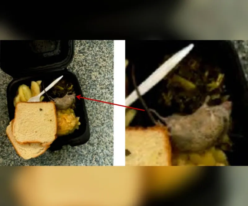 New allegations about a vermin problem at the DC jail: 'They're being cooked into the food'
