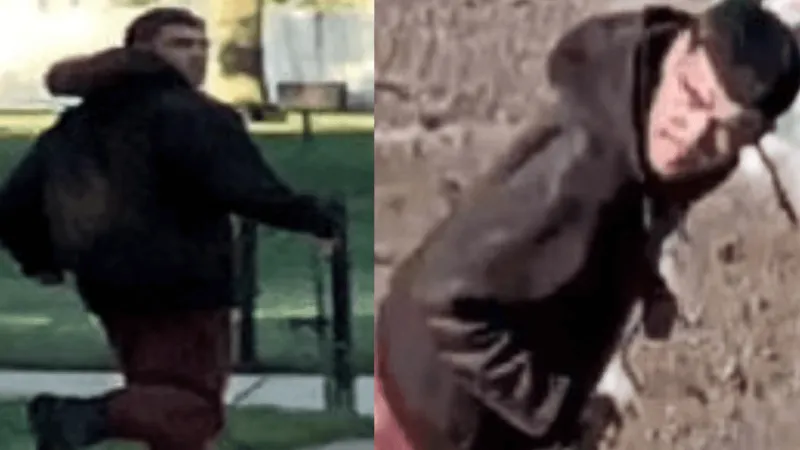 Man wanted in connection with multiple sexual offenses on National Mall