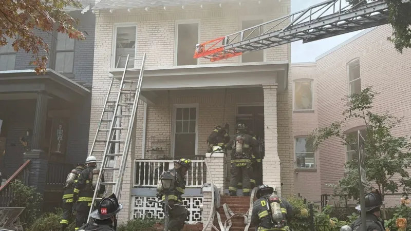 Cat dies in accidental fire in Southeast Washington, DC row house