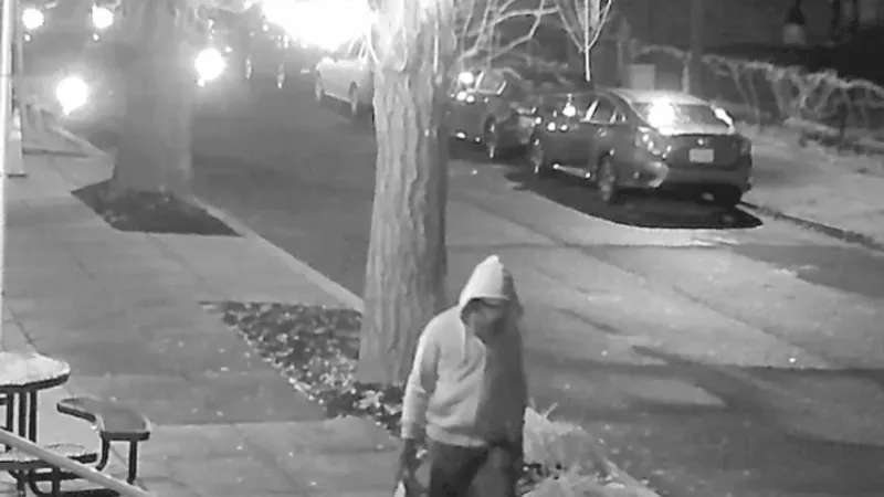 Massie, MTG support report of alleged Jan. 6 pipe bomber's innocence amid new video