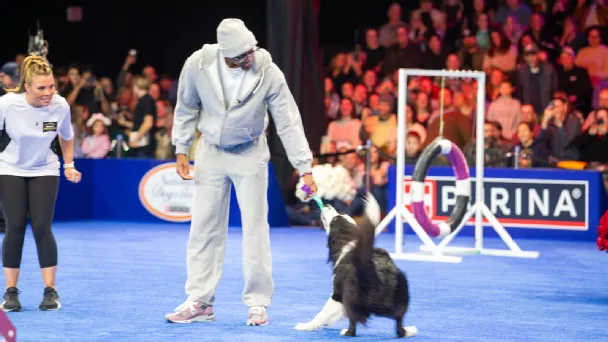 Tyrese Maxey's run through the 2025 National Dog Show