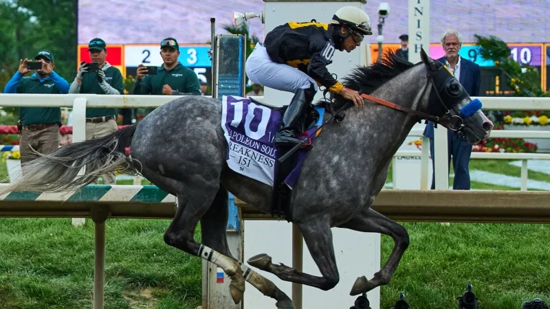 Napoleon Solo crosses the finish line first in the Preakness Stakes