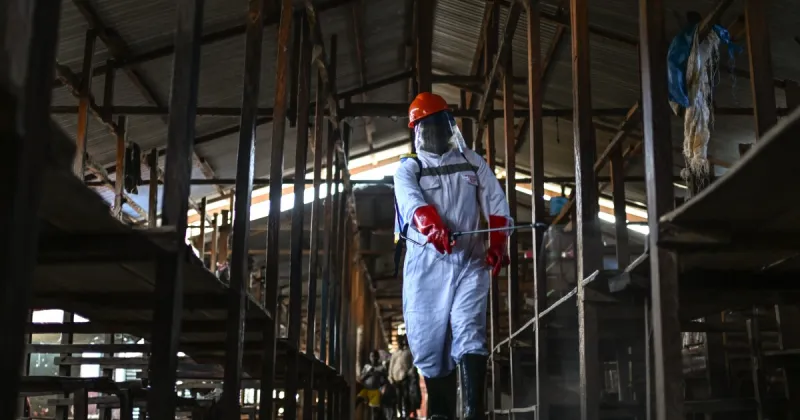 Uganda closes its border with Congo as cases of a rare Ebola type surge
