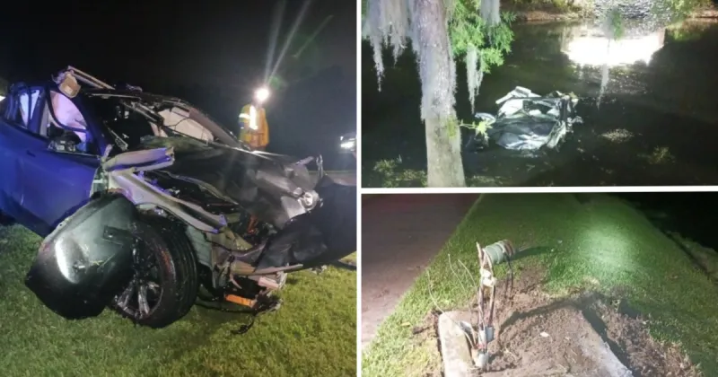 87-year-old Wesley Chapel man dies after Tesla in autopilot mode crashes: FHP