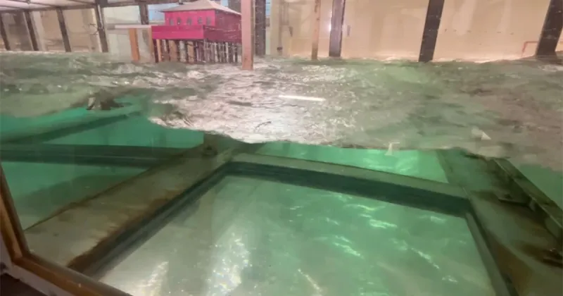 What destroys homes during a hurricane? University of Miami researchers are finding out