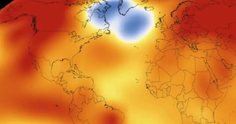 A mysterious 'cold blob' in the ocean has puzzled scientists. A new study says it's an ominous sign