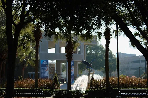 Proposed federal rule threatens hospital and university grants over DEI and gender policies