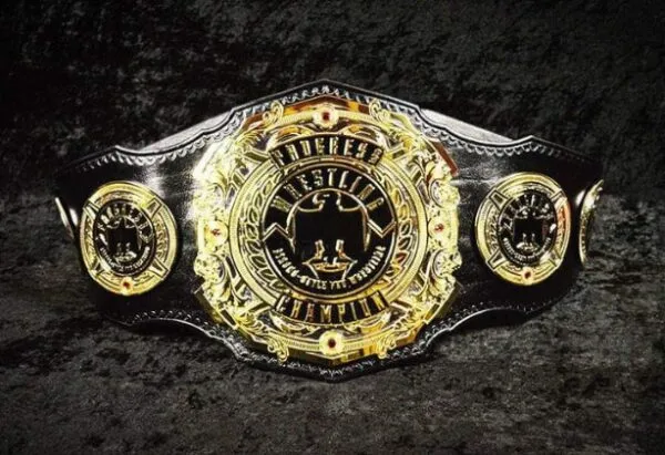 World Wrestling Belts -- Shop Championship Belts with Fast Shipping