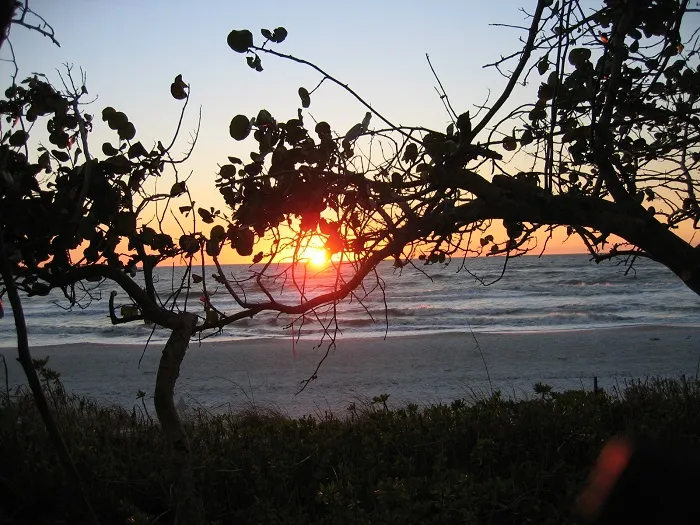 Jun 23, Delnor Wiggins State Park Has One Of The Best Beaches In Florida