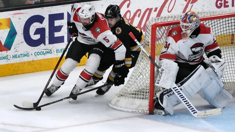 Panthers' AHL affiliate loses captain Trevor Carrick to DEL