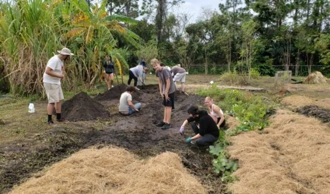 Ogier Gardens helps UNF students facing food insecurity
