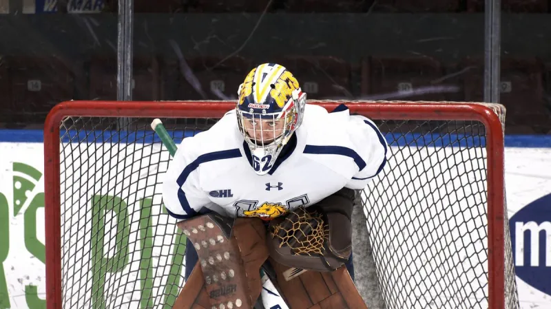 Invitees trying to turn heads at Panthers development camp