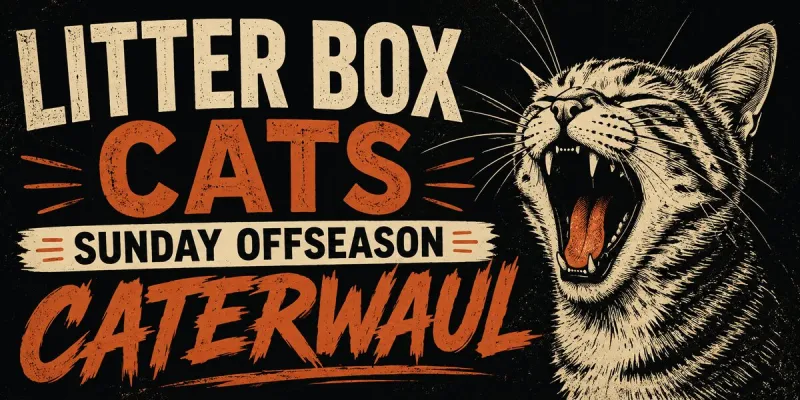 Sunday Florida Panthers Offseason Caterwaul