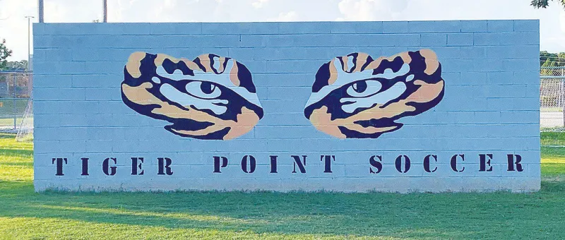 TPSA reacts to Bayside proposal