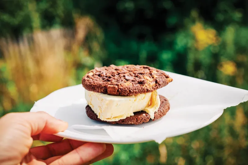 Where to Celebrate National Ice Cream Sandwich Day
