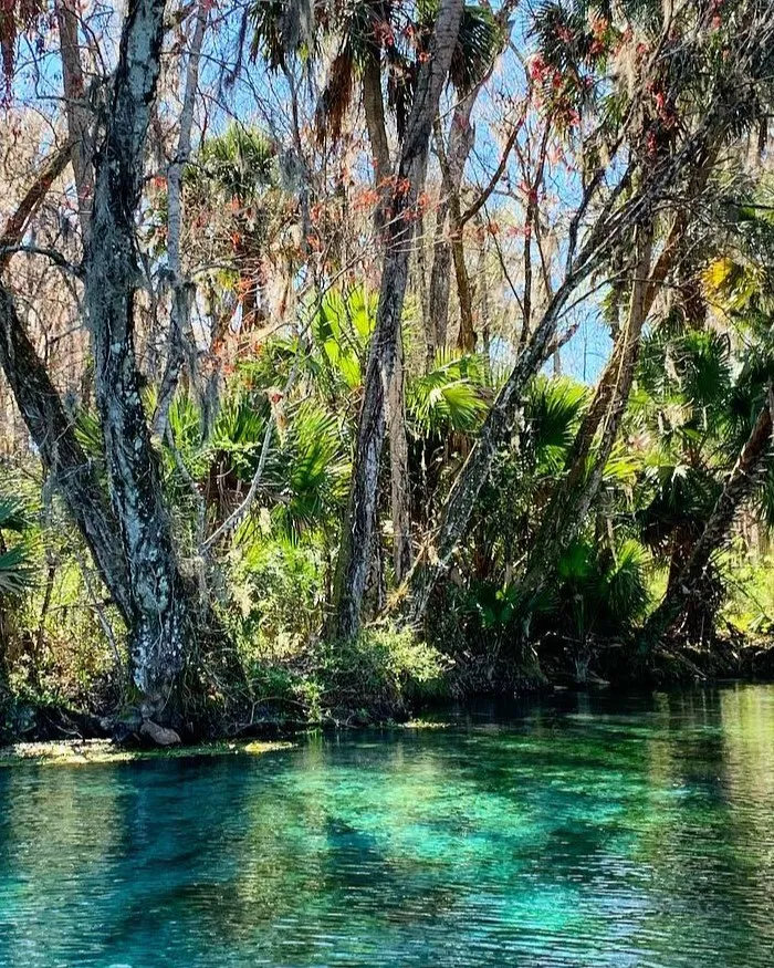 Jul 9, 15 Best of Florida's 1,000 Freshwater Springs