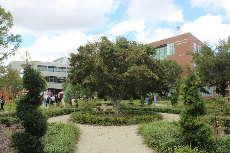 UNF faculty prepare students for job market with new AI curriculum, in-class tools