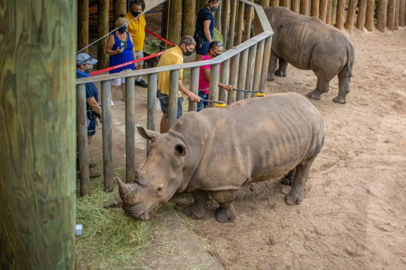 Jul 16, Brevard Zoo: The Largest Community Built Zoo