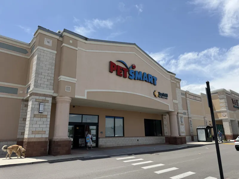 PetSmart Hosts 'Meet the Reptiles' For Pet Lovers