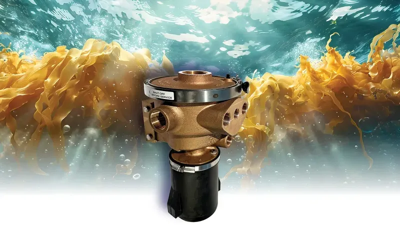 How Do Seawater Strainers Protect Your Engine?