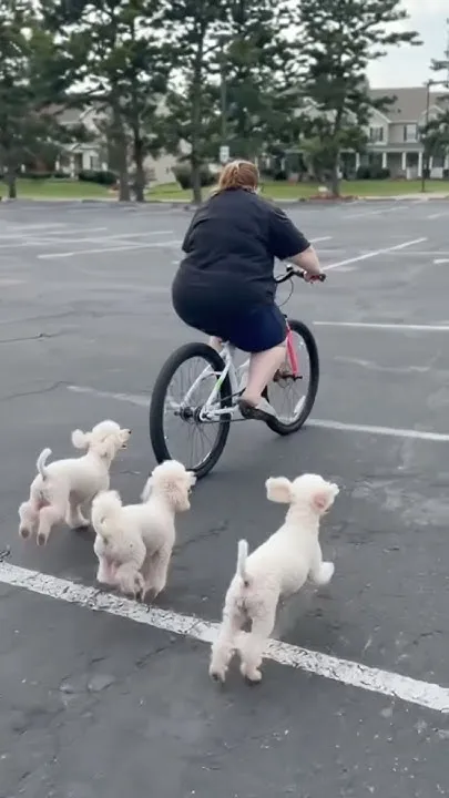 Katie on an AI bike ride (Video)