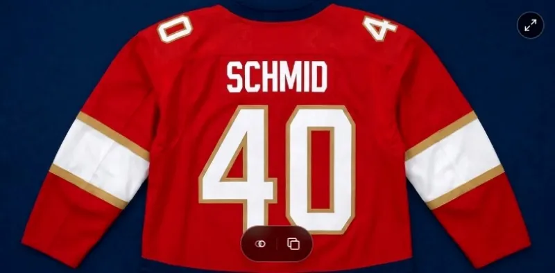 Panthers sign goalie Akira Schmid to contract