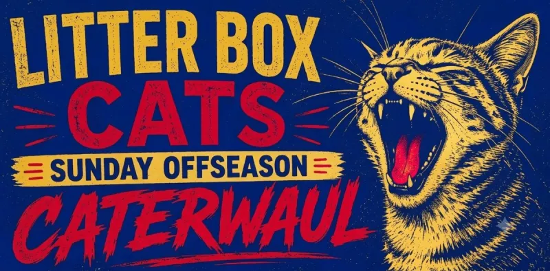 Sunday Florida Panthers Offseason Caterwaul